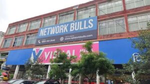 network bulls