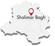 Shalimar Bagh