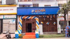 pinak institute