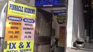 pinnacle academy