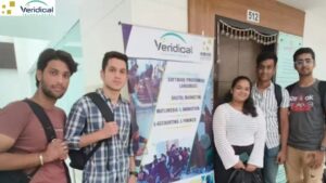 veridical technologies