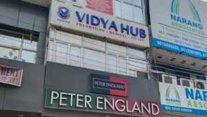 vidya hub