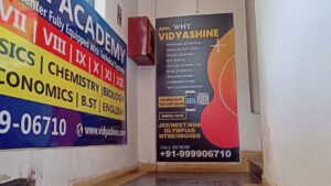 vidyashine