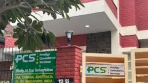 prodigy consultancy services