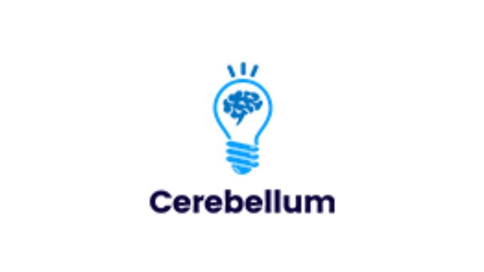 cerebellum-academy